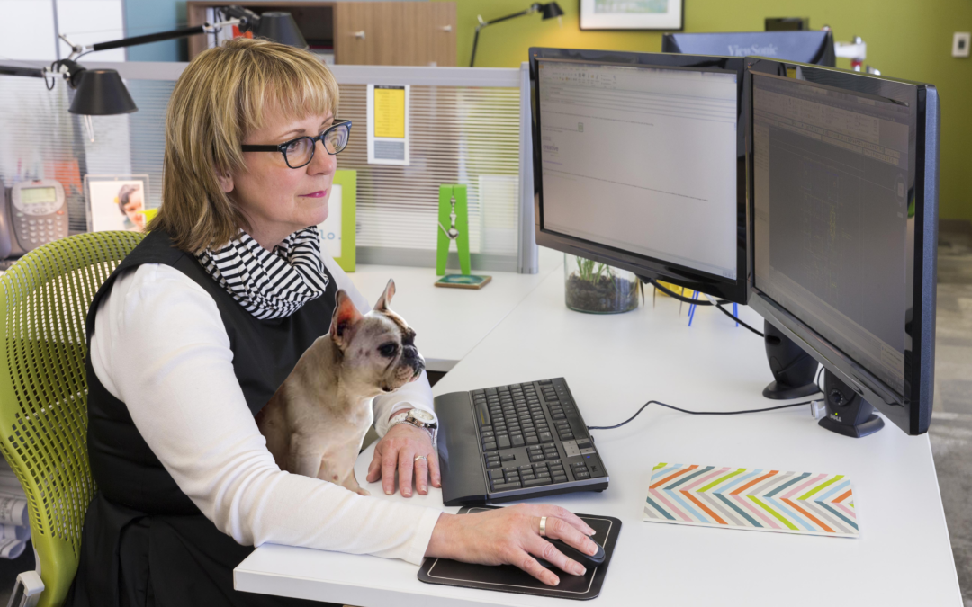 Employee with Pup | Creative Business Interiors