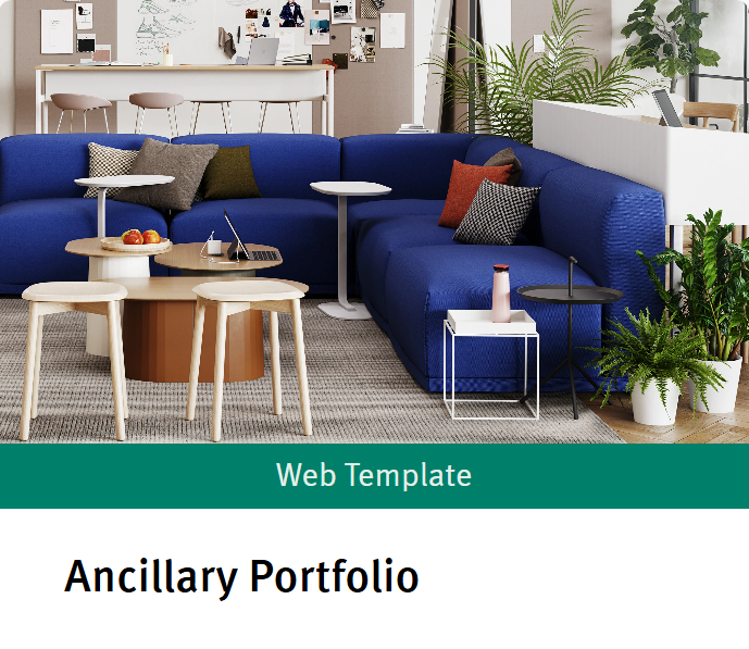Ancillary Portfolio